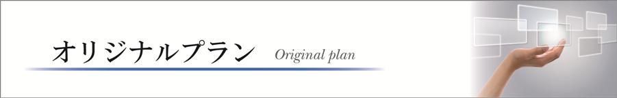 オリジナルプラン
